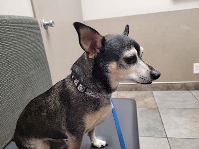 petsmart Sugar House, Salt Lake City, UT .